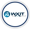 Wxit Consultant Services logo