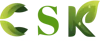 Express Web Pro logo