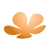 Carbon Creative logo