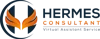 Hermes Consultant logo
