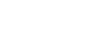 WEBITIZED logo