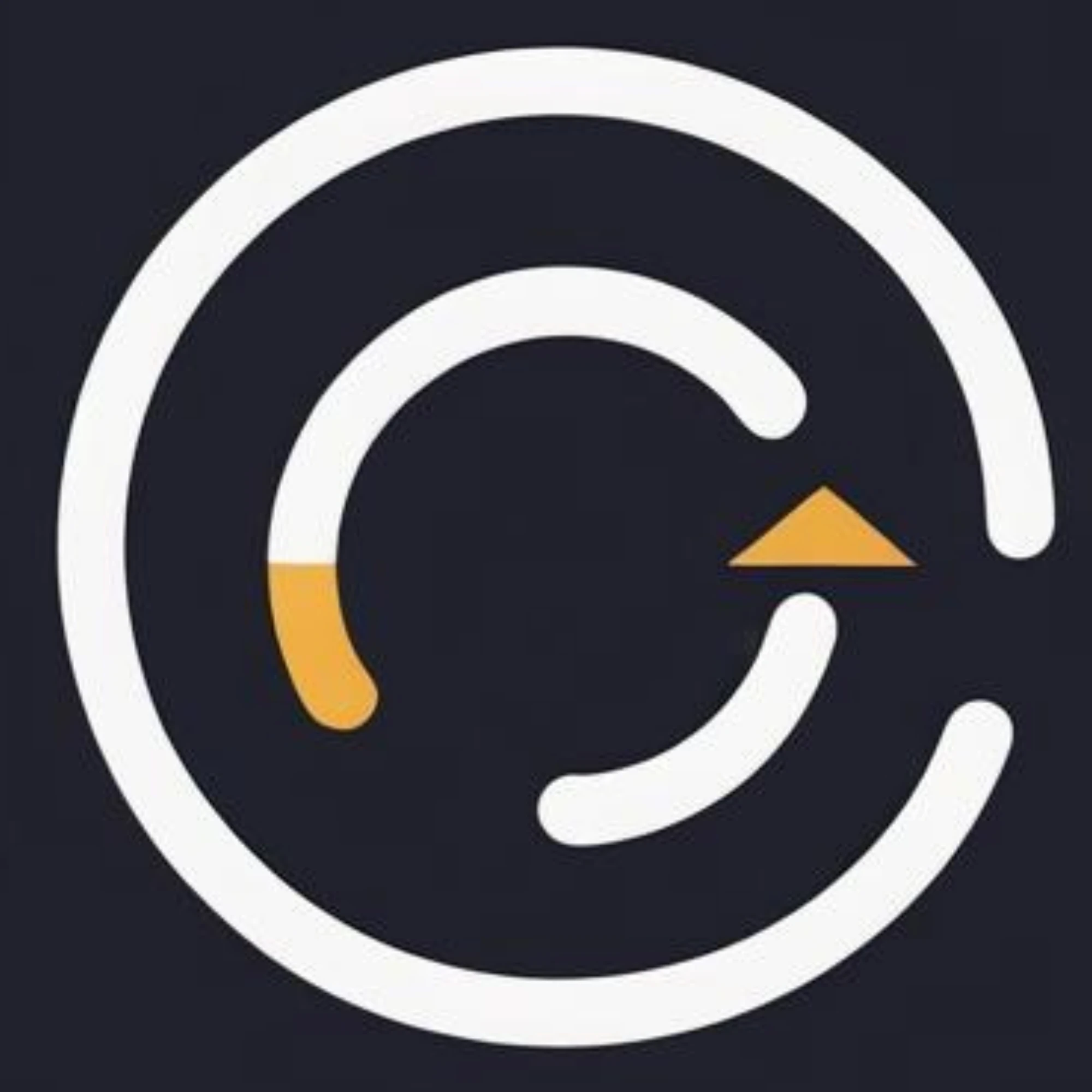 Codility Solutions logo