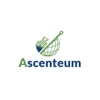 Ascenteum logo