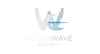 audit web security logo
