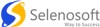 Selenosoft logo