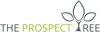 The Prospect Tree logo