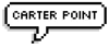 Carter Point logo