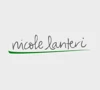 Nicole Lanteri Design logo