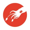 Rare Design Group logo