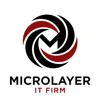Microlayer IT Firm logo