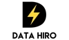 Data Hiro logo