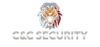 C&C Security logo