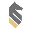 StrategyWise logo
