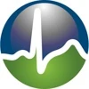 WebSitePulse logo