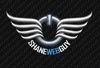 ShaneWebGuy logo