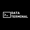 DataTerminal logo