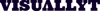 Visuallyt logo