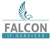 Falcon IT Services, Inc. logo
