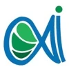 App Innovation logo