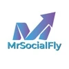 Mrsocialfly logo