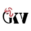 GKV Software Solutions PVT LTD logo