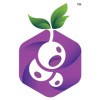 Blackcurrant Labs Pvt. Ltd. logo