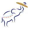 Bread and Circuses Inc. logo
