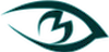 M-Vision, Inc logo