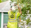 Total Control Tree Service logo