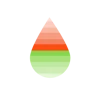 RainierDigital logo