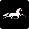 Ashford South logo