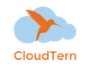 CloudTern Solutions Inc logo