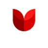 ThemeDev logo