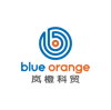 Blue Orange logo