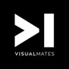 Visual Mates logo