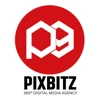 PixBitz logo