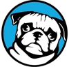 Wavesite logo