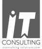 IT CONSULTING logo