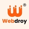 Webdroy Solutions Pvt Ltd logo