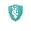 METANOW logo