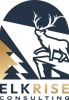 ELKRISE Consulting logo