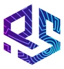 Ray Solutions Ltd logo