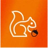 WebsiteSquirrel logo