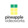 Pineapple Videoworks logo