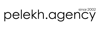 Pelekh Agency logo