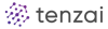 Tenzai Systems logo
