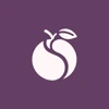 SEO Plum logo