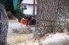 Branch Out Tree Services logo