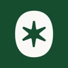 Brightfolk Studio logo