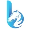 Blucav logo
